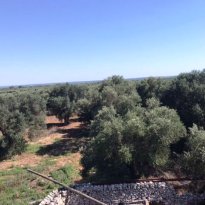 Francavilla Fontana Puglia