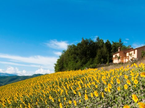 Sant' Angelo in Vado Le Marche