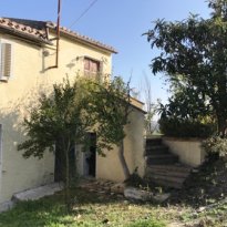 Barchi - Terre Roveresche Le Marche