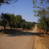 San Michele Salentino Puglia