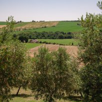 Arcevia Le Marche