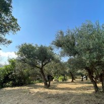 San Ginesio Le Marche