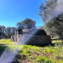 Ceglie Messapica Puglia