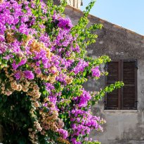 Torre di Palme Le Marche
