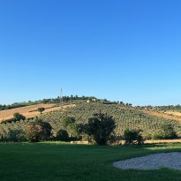 Roncitelli di Senigallia Le Marche