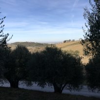Arcevia Le Marche