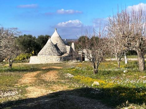 Ceglie Messapica Puglia