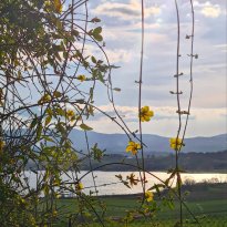 Castiglione del Lago Umbria