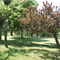 Citta della Pieve Umbria