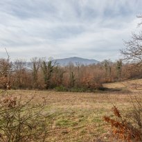 Citta della Pieve Umbria