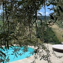 Cupramontana Le Marche