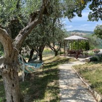 Cupramontana Le Marche