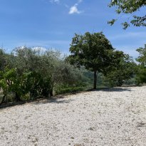 Cupramontana Le Marche
