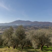 Cetona Toscana
