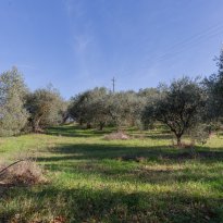 Cetona Toscana