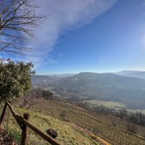 Prasco Piemonte