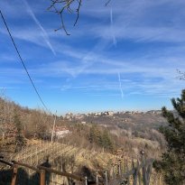Prasco Piemonte