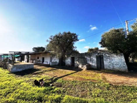 Ostuni Puglia