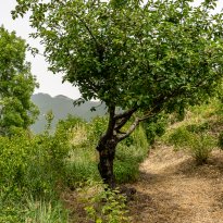Camerino Le Marche