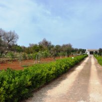 San Vito dei Normanni Puglia