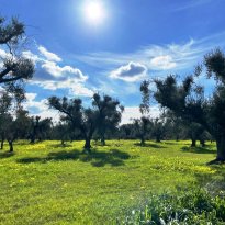 Ostuni Puglia