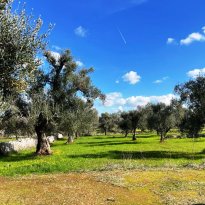 Ostuni Puglia