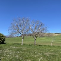 Cagli Le Marche