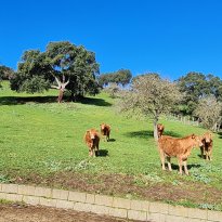 San Antonio di Gallura Sardegna