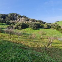 San Antonio di Gallura Sardegna