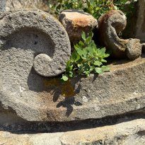 Alassio Liguria