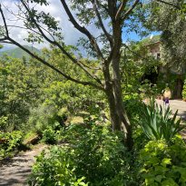 Pieve di Teco Liguria