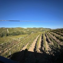 Ricaldone Piemonte