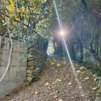 Cartoceto, Colli al Metauro Le Marche