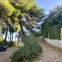 Cartoceto, Colli al Metauro Le Marche