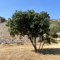San Pantaleo, Olbia Sardegna