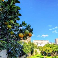 Surano Puglia