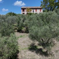 Arcevia Le Marche