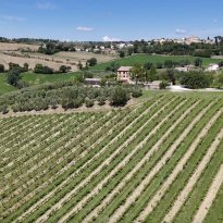 Arcevia Le Marche
