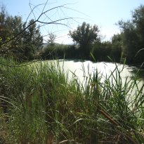 Montecarotto Le Marche
