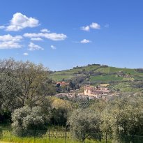 Cartoceto Le Marche
