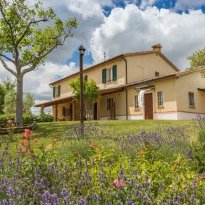 Barchi Le Marche