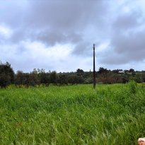Ceglie Messapica Puglia