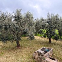 Ceglie Messapica Puglia