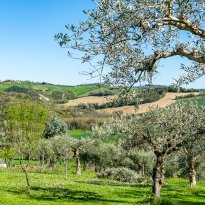 Massa Fermana Le Marche