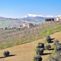 Carassai Le Marche