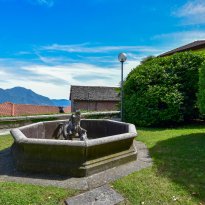 Bee Lago Maggiore