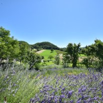 Valle Bormida Piemonte