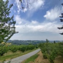 Belvedere Langhe Piemonte