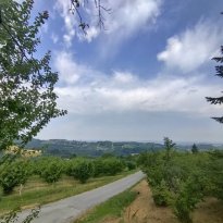 Belvedere Langhe Piemonte