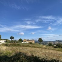 Pergola Le Marche